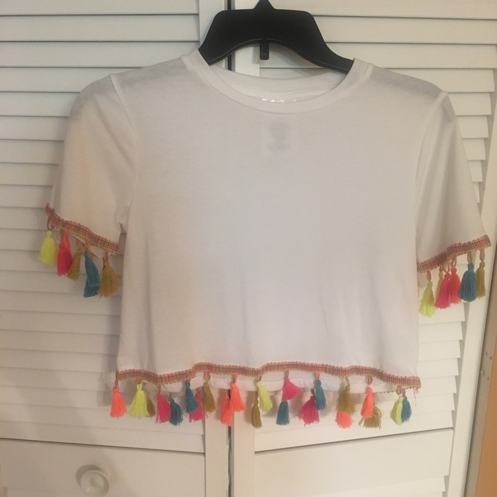 Tassel Crop Top